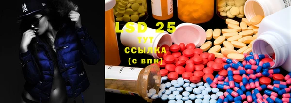 молекула духа Осташков