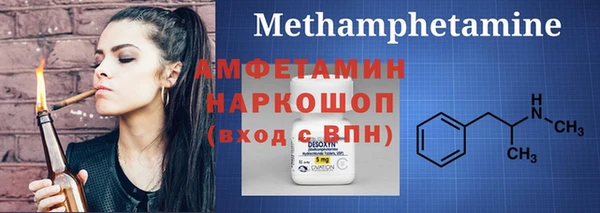 молекула духа Осташков