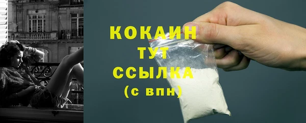 молекула духа Осташков