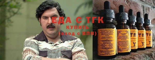 молекула духа Осташков