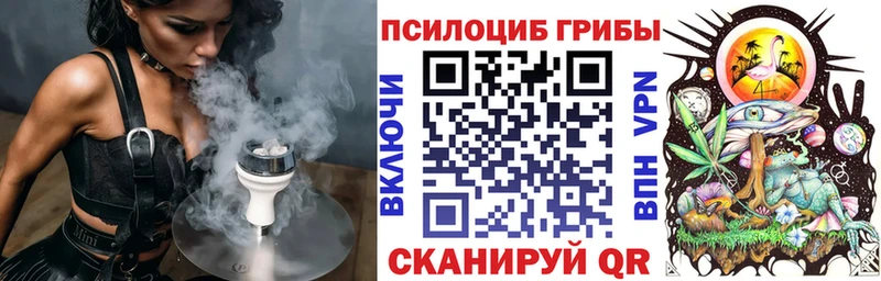 MEGA как зайти  Боровичи  Галлюциногенные грибы MAGIC MUSHROOMS 