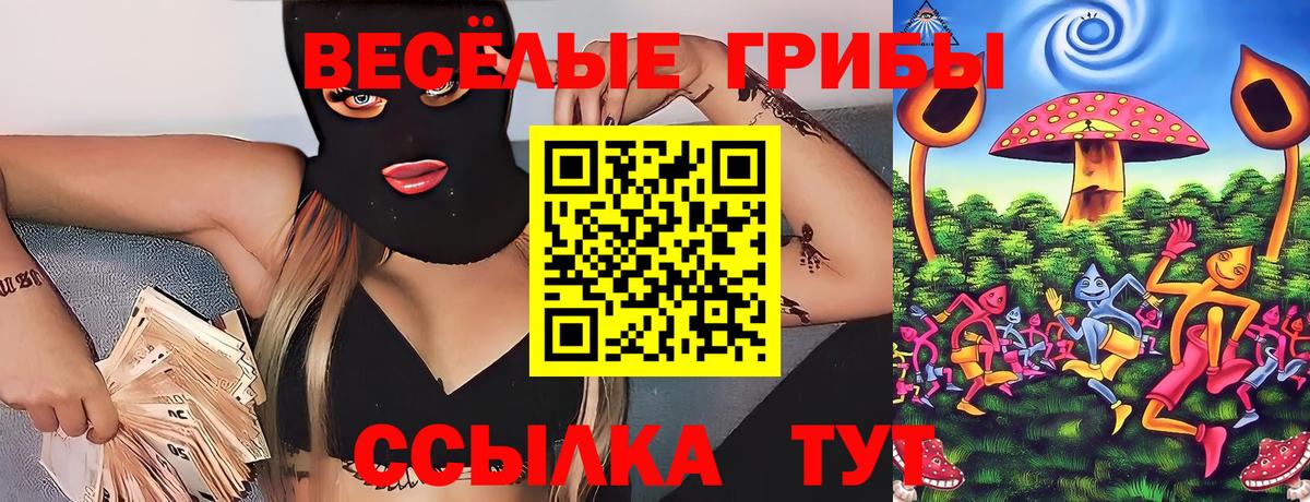 Галлюциногенные грибы Cubensis  Боровичи 