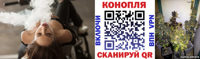 дарнет шоп  Боровичи  Марихуана план 